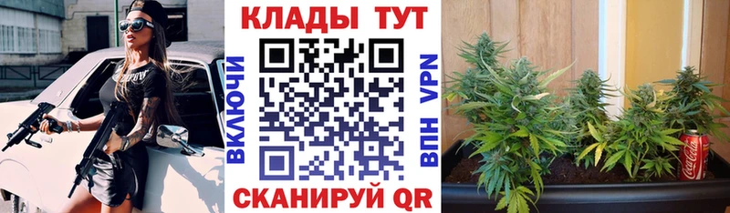Наркота Калач-на-Дону Бошки Шишки Альфа ПВП COCAIN NBOMe Меф мяу мяу Гашиш