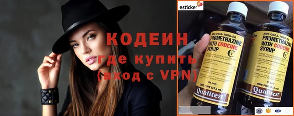 хмурый Семилуки