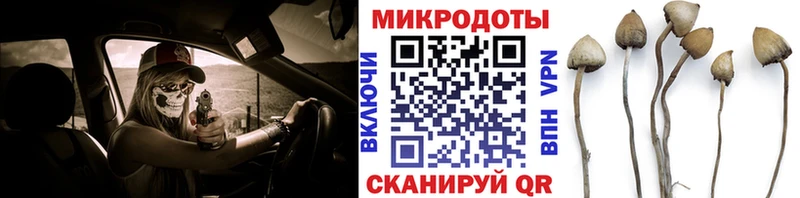 Галлюциногенные грибы мицелий Калач-на-Дону